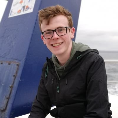 大卫·罗尔头像