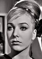 麦琪·赖特头像