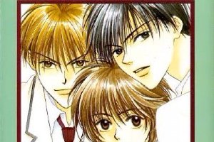 漫画家中条比纱也去世 代表作《花样少男少女》封面图