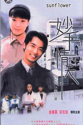 妙手情天封面图