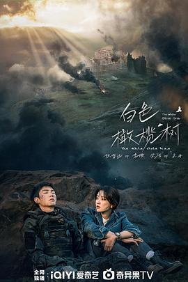 白色橄榄树封面图