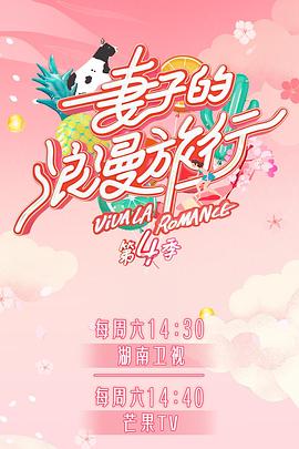 妻子的浪漫旅行 第四季封面图