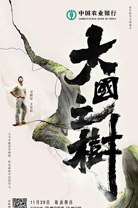 大国之树封面图
