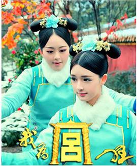 我为宫狂封面图