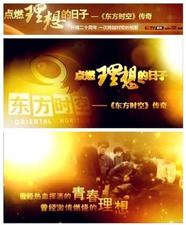 点燃理想的日子封面图