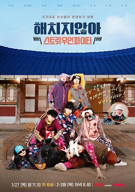 不会伤害你X街头女斗士封面图