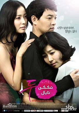 两个妻子封面图