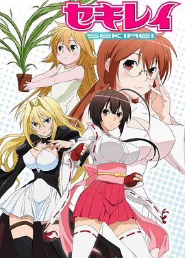 鹡鸰女神封面图