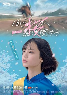 向着风的那边奔跑吧封面图