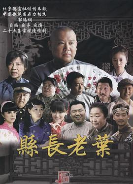 知县叶光明封面图