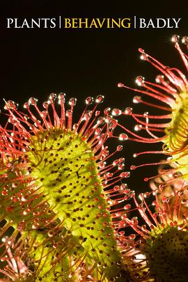 植物也坏坏封面图