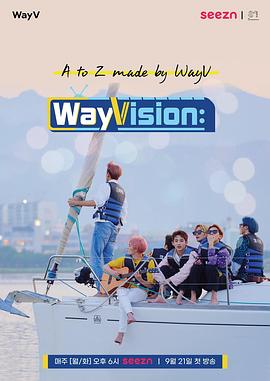 WayVision封面图