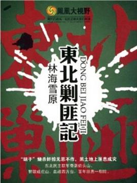 林海雪原：东北剿匪记封面图