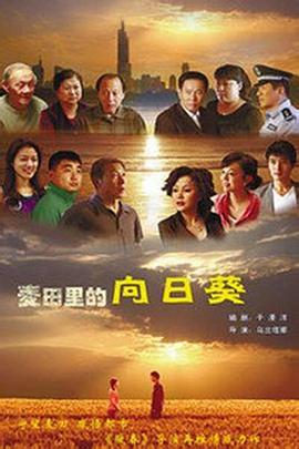 葵花进城封面图