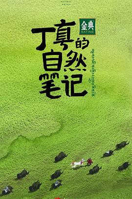 丁真的自然笔记封面图