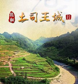 揭秘土司王城封面图
