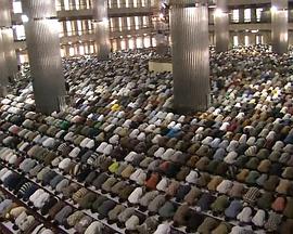 灼热的亚洲封面图