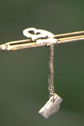 美之壶 簪子封面图