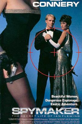 谍海奇才封面图