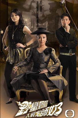 野蛮奶奶大战戈师奶封面图