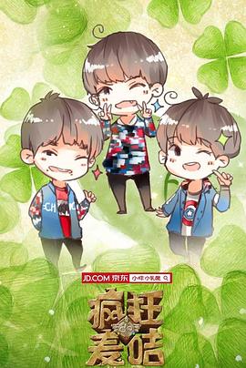 疯狂的麦咭 第二季封面图