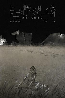 狂野时代封面图