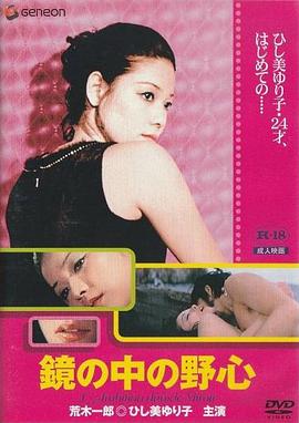 镜子中的野心封面图