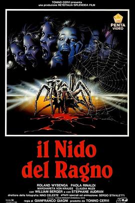 蜘蛛迷宫封面图