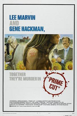 双龙大火拼封面图