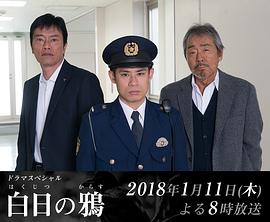 白日之鸦封面图