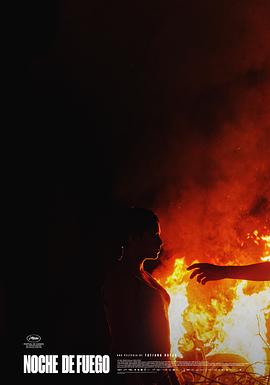 火之夜封面图