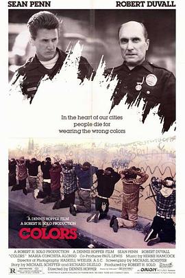 彩色响尾蛇封面图