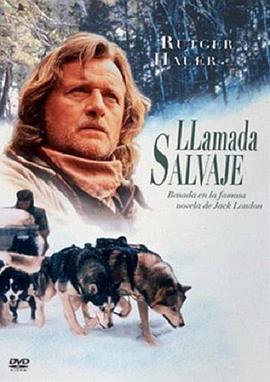 野性的呼唤：育空的狗封面图