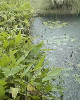 Cinetracts &#39;20封面图