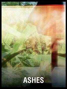 灰烬封面图
