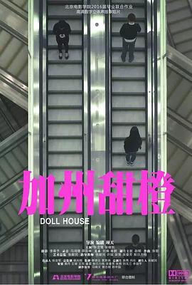 加州甜橙封面图