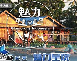 魅力印度尼西亚封面图