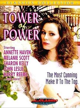 贝利弗山的秘密封面图