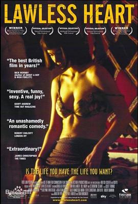 放纵的心封面图