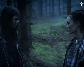 丹麦淫妖 第二季封面图