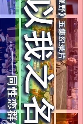 以我之名：中国同性恋群体实录封面图