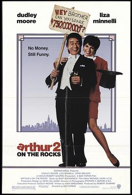 二八佳人花公子续集封面图