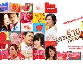 恶玫瑰之恋封面图