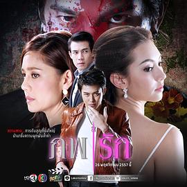 爱的世界封面图