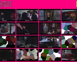 百惠之唇:爱兽封面图