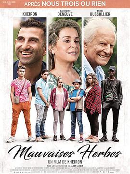 甜蜜香草封面图