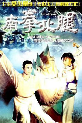 南拳北腿封面图