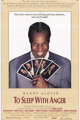 带怒而眠封面图