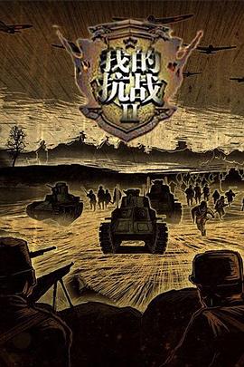 我的抗战2封面图