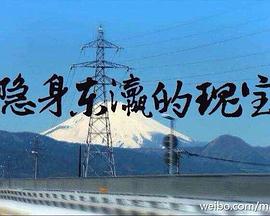 隐身东瀛的瑰宝封面图